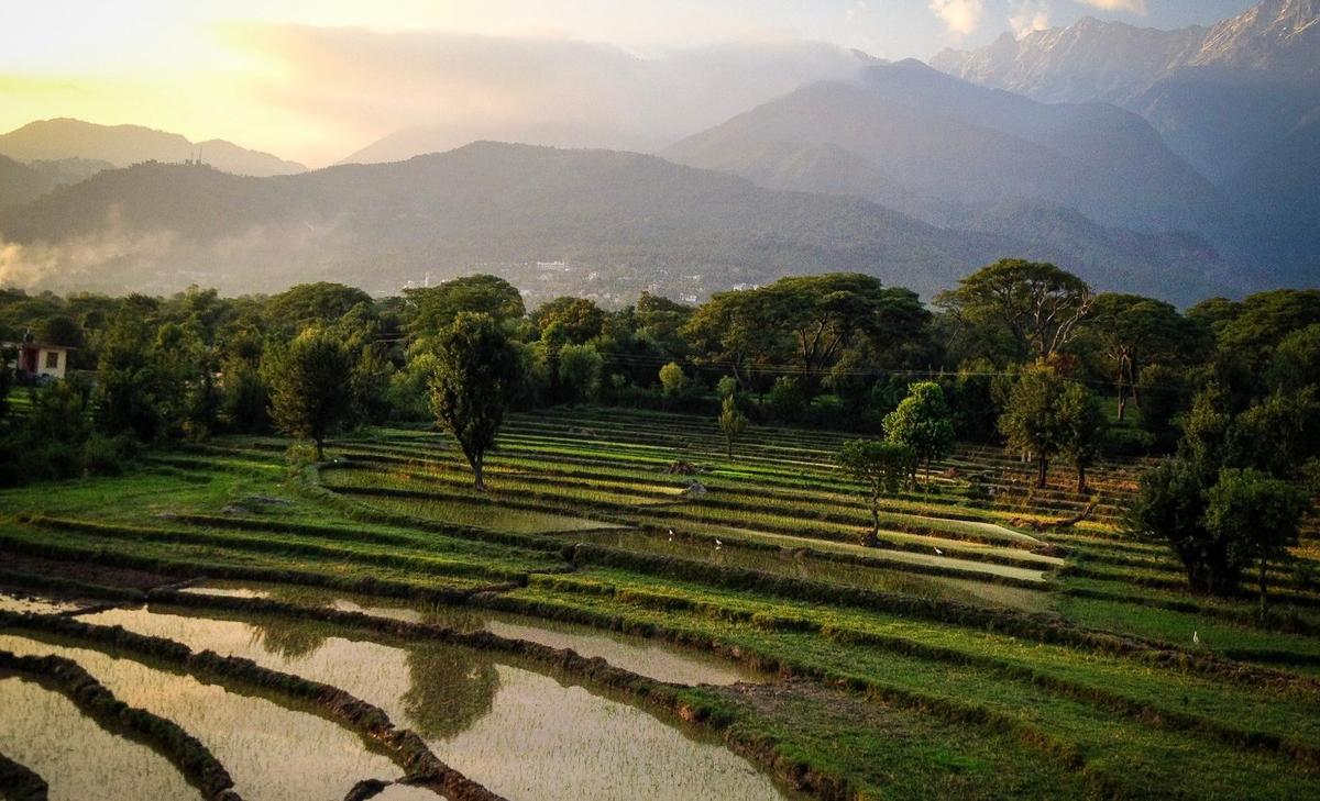 How volcanic activity helps predict the Indian monsoon