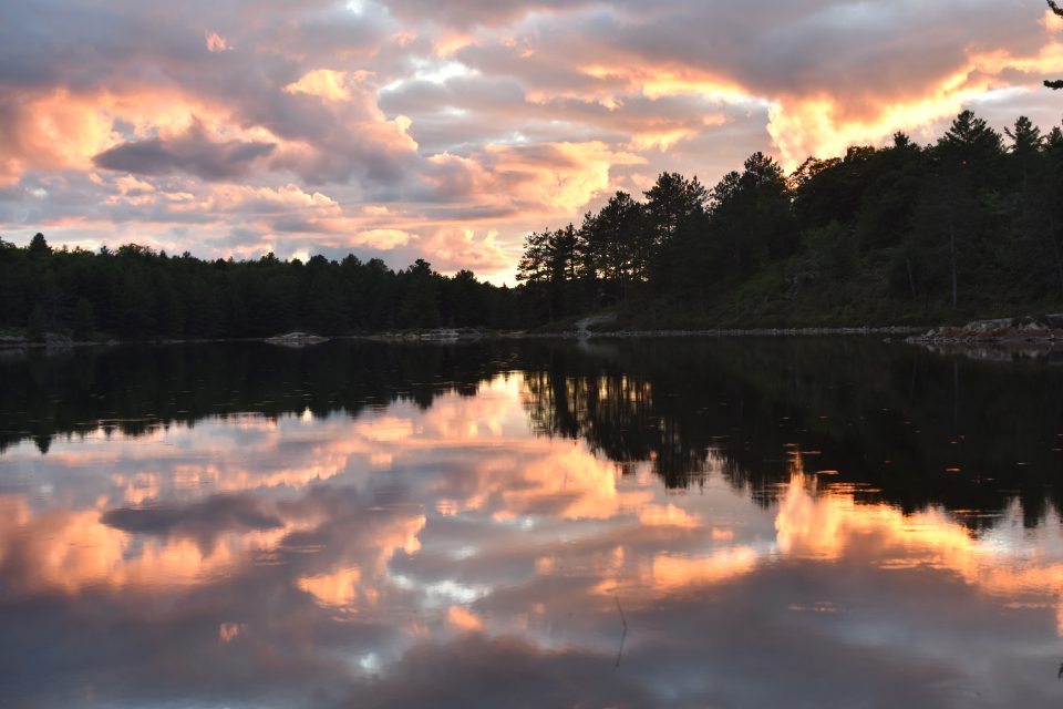 New database will help scientists monitor water quality