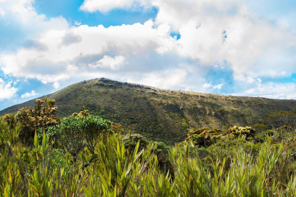 Biodiversity hotspots are shrinking in the Andes mountains