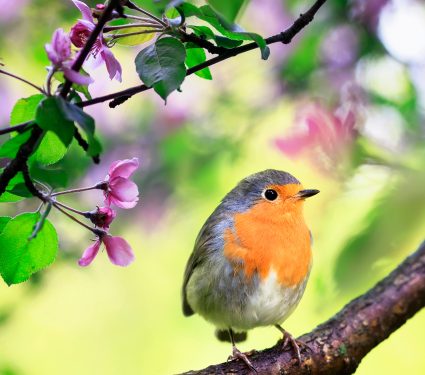 shutterstock_1334721632.jpg