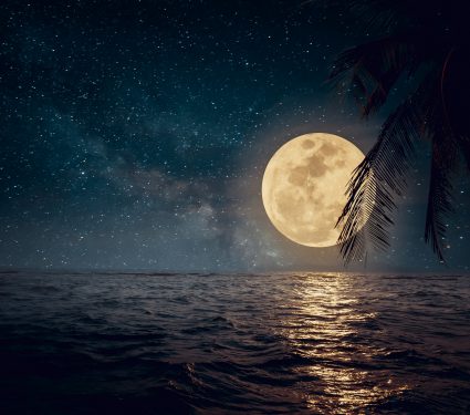 shutterstock_6215565262.jpg