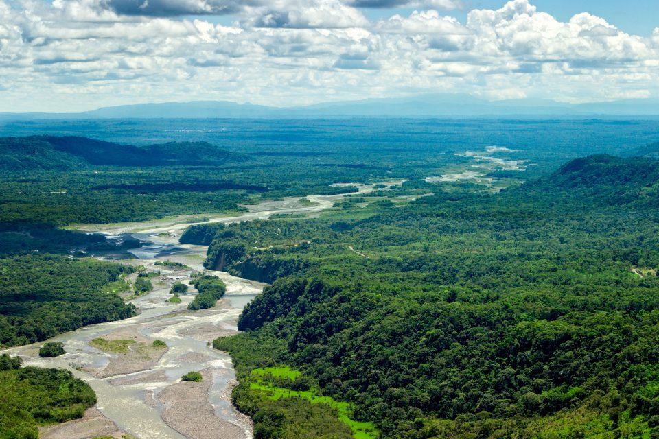 Conservation planning in the Amazon should be redirected to freshwater species