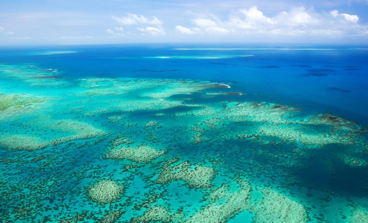 The Great Barrier Reef has lost half of its corals