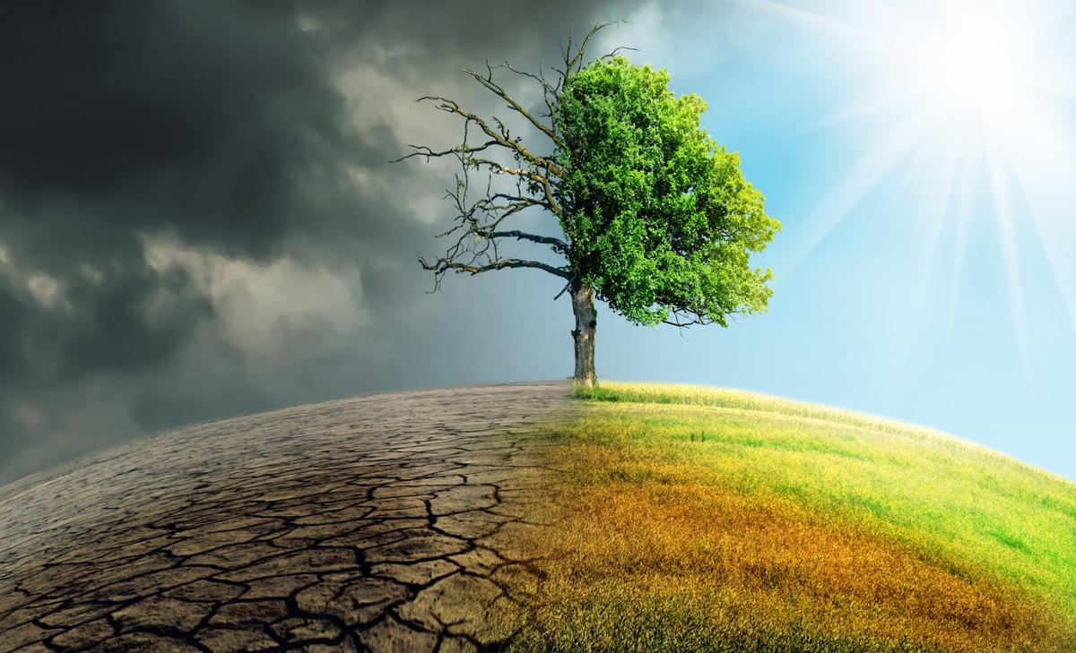 Early humans were likely driven to extinction by climate change