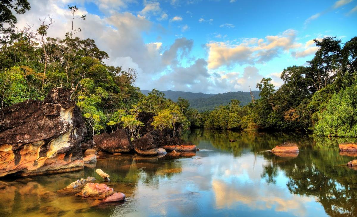 Giant animals vanished from Madagascar after humans arrived