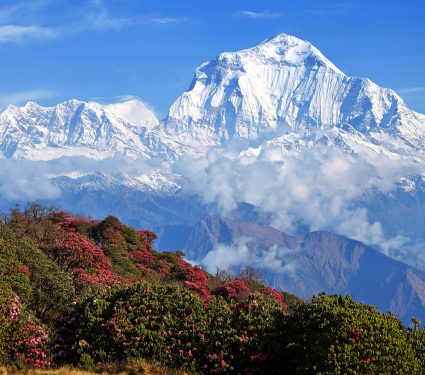 shutterstock_5829934932.jpg