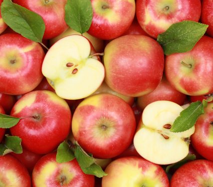 shutterstock_1175193462.jpg