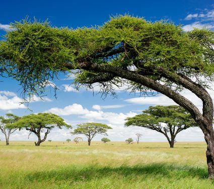 shutterstock_160218761.jpg