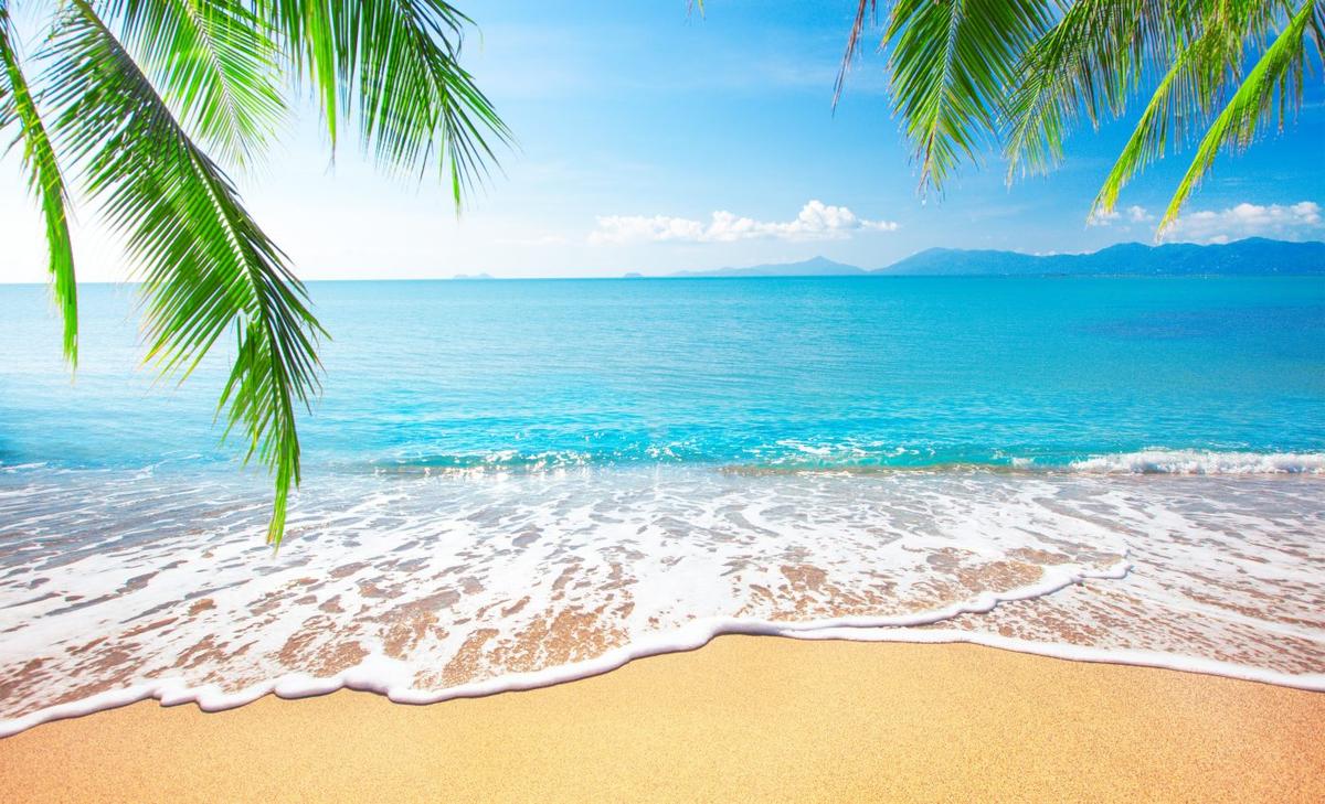 Beaches with space to migrate will survive rising sea levels