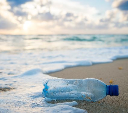 shutterstock_13052297832.jpg