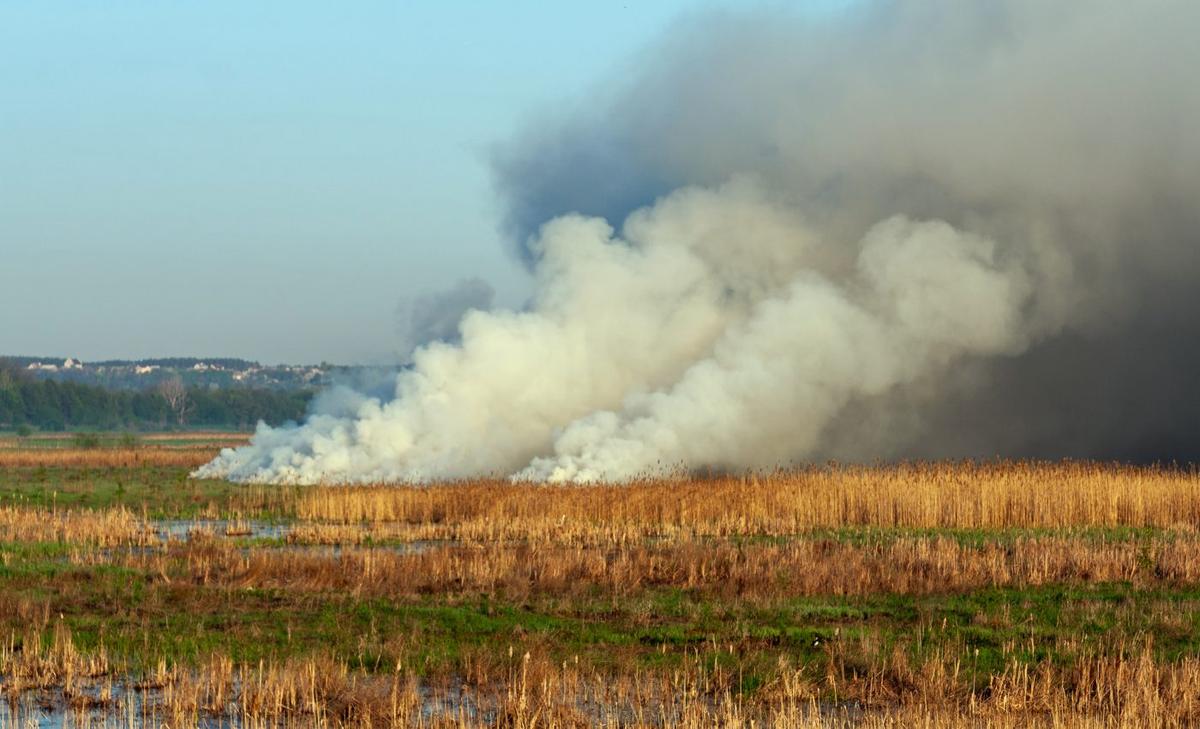 Soil moisture is key to slowing zombie fires