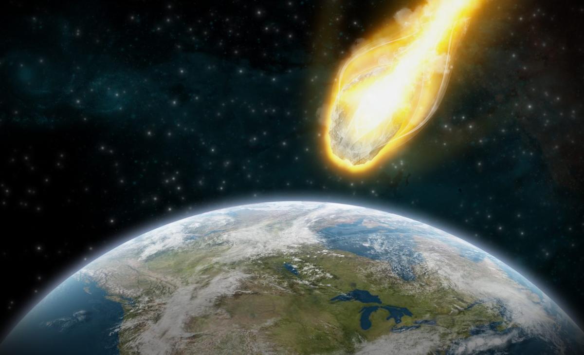Plankton began hunting their own food to survive a mass extinction event