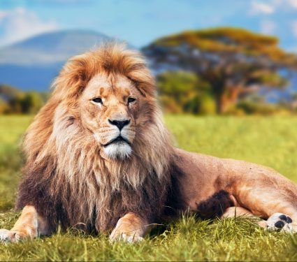 shutterstock_1619675812.jpg