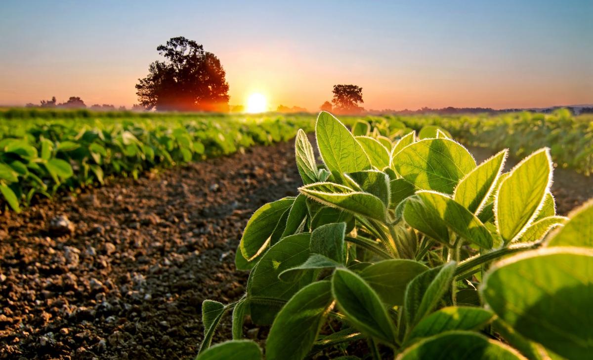 Food production linked to one-third of global emissions