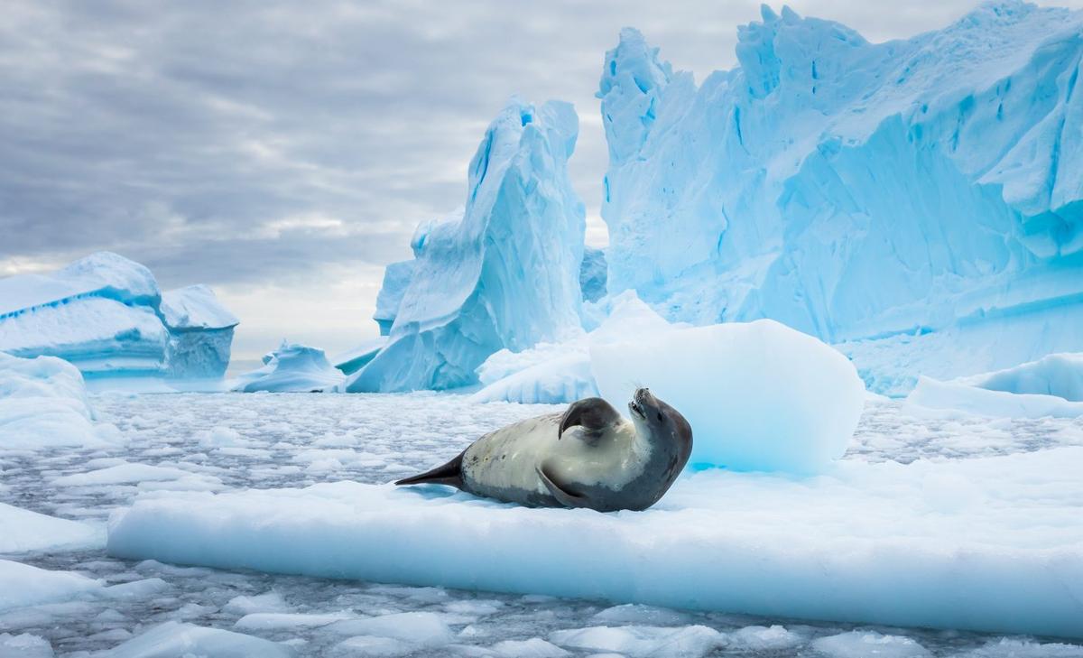 Atmospheric rivers help create massive holes in sea ice