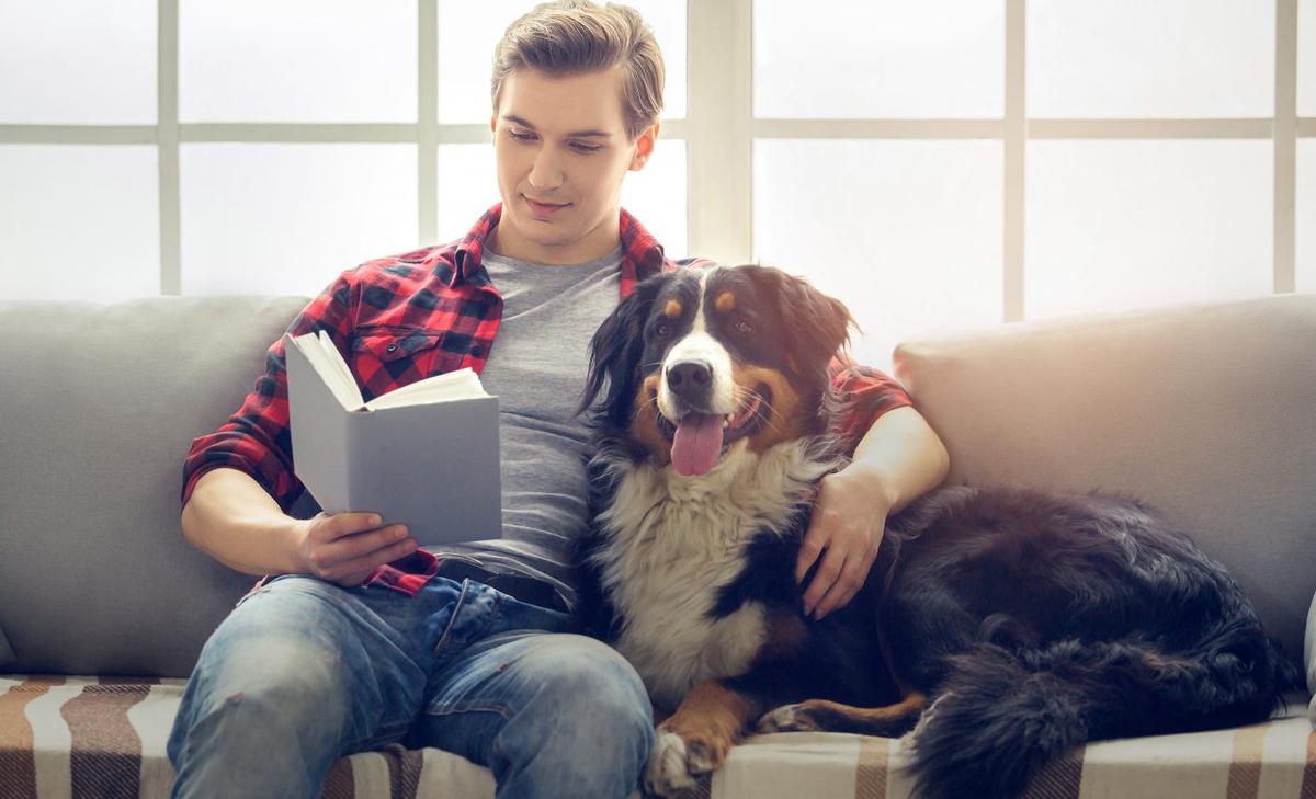 Dogs take their owners' preferences into consideration