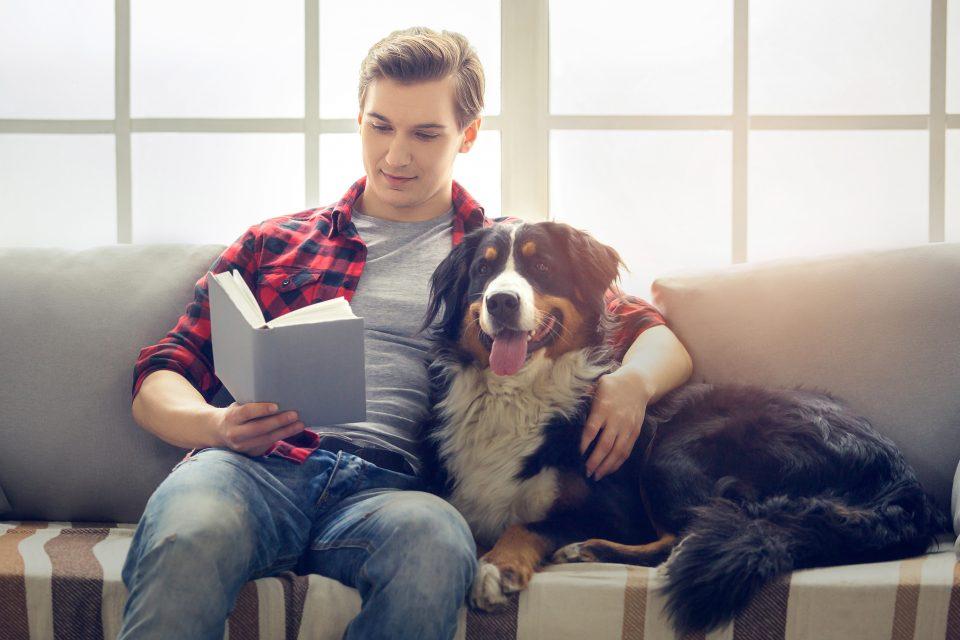 Dogs take their owners' preferences into consideration