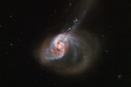 Ring of Stellar Wildfire