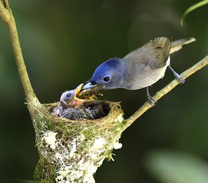 shutterstock_1399340802.jpg