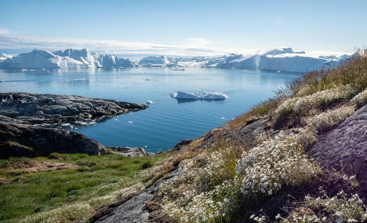 Antarctic ice sheet is controlled by weather in the Northern Hemisphere