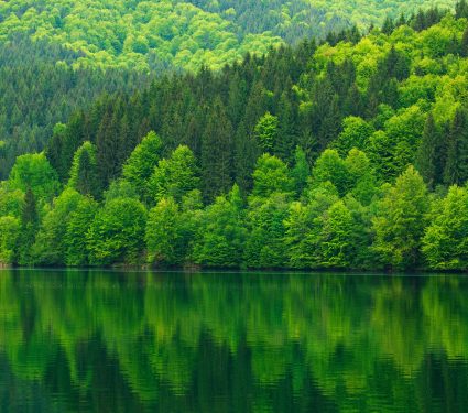 shutterstock_6503806453.jpg