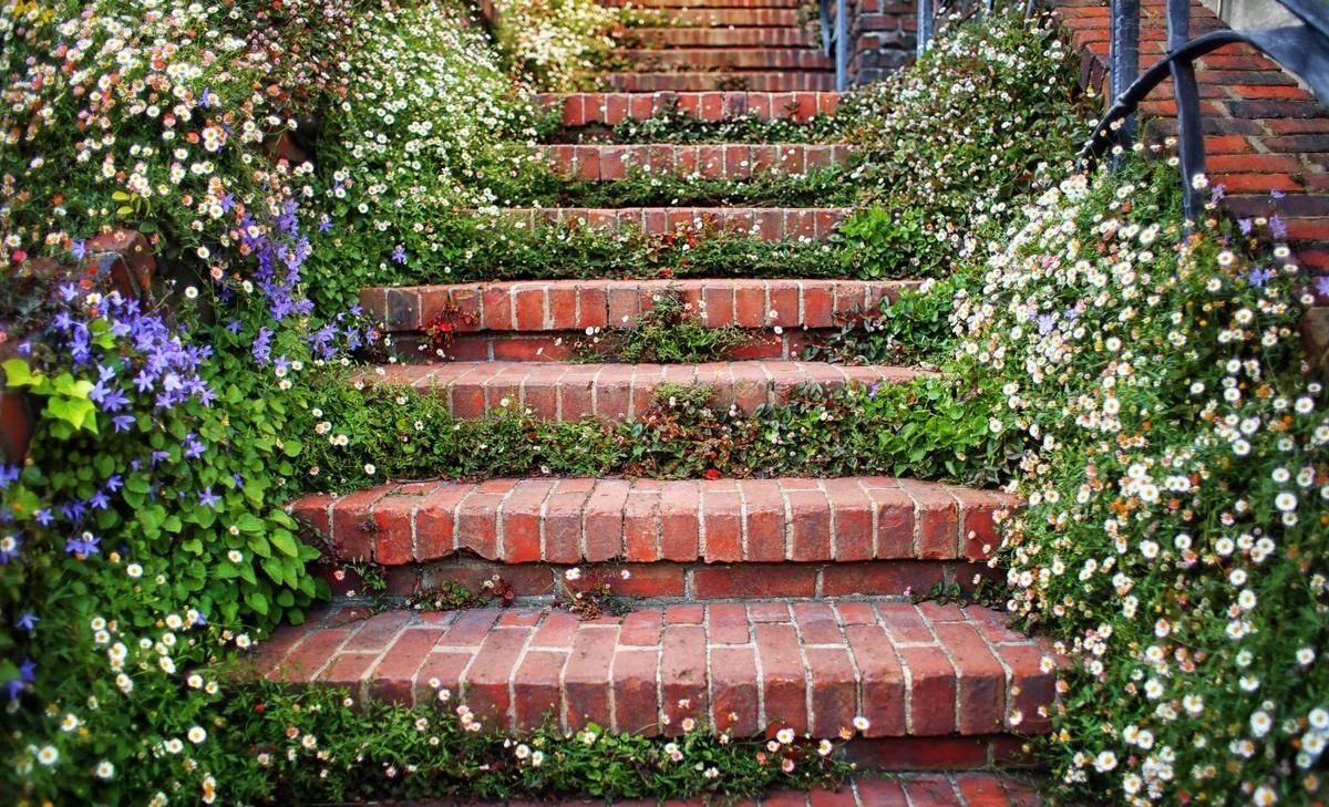 Climbing stairs is a good way to test heart health