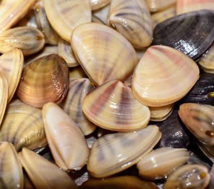 shutterstock_18236538892.jpg