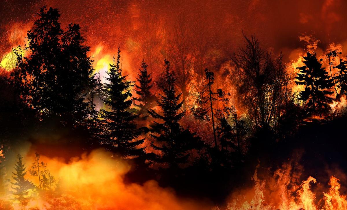 Increasing wildfire risk linked to multiple conditions
