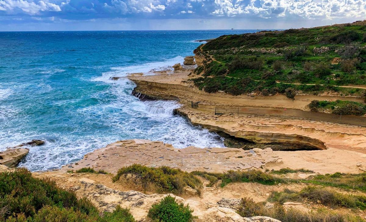 Native species are vanishing in the Eastern Mediterranean