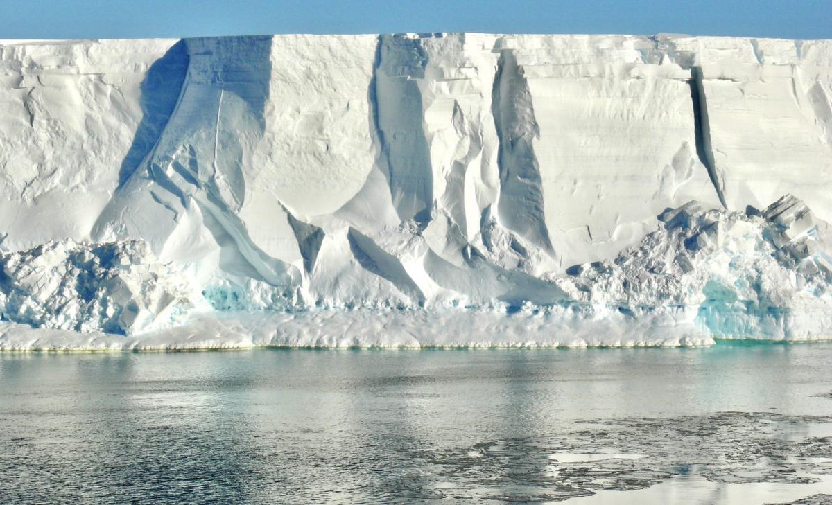 Strange creatures found beneath the Antarctic ice shelf