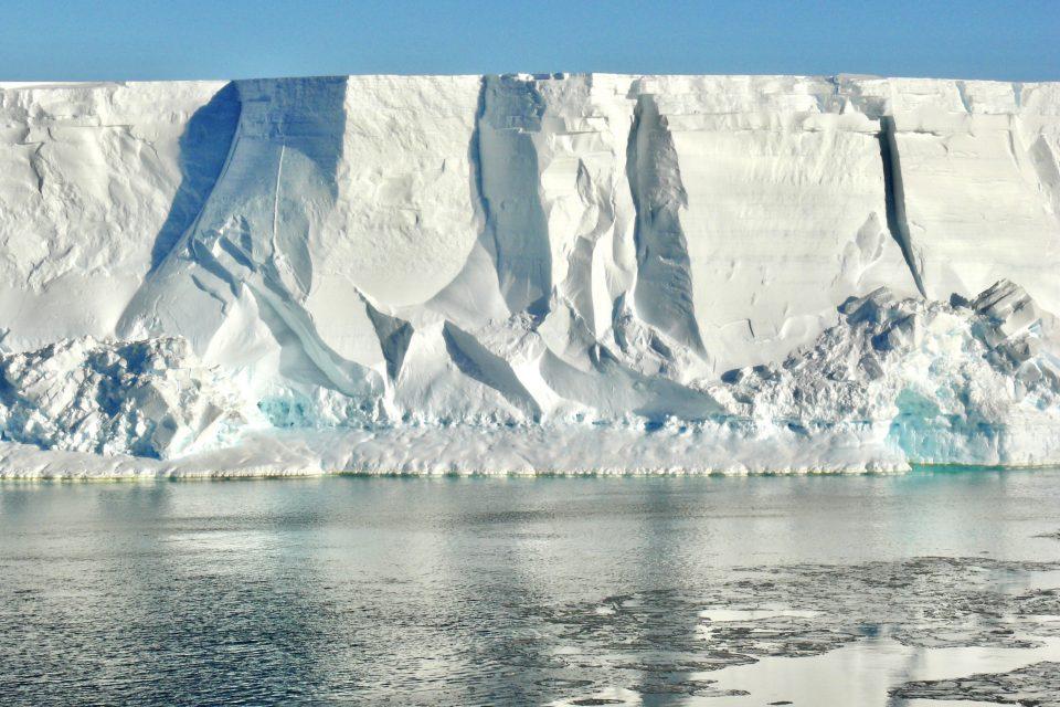 Strange creatures found beneath the Antarctic ice shelf
