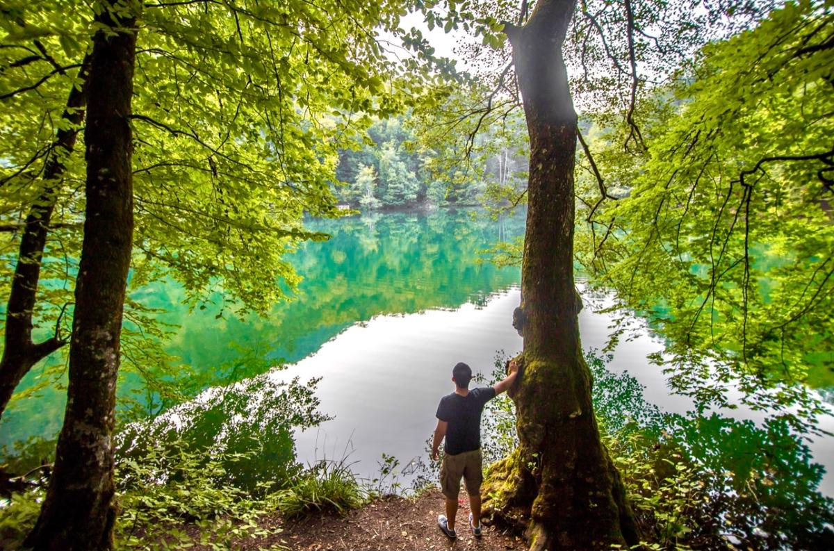People who are connected with nature have better coping skills