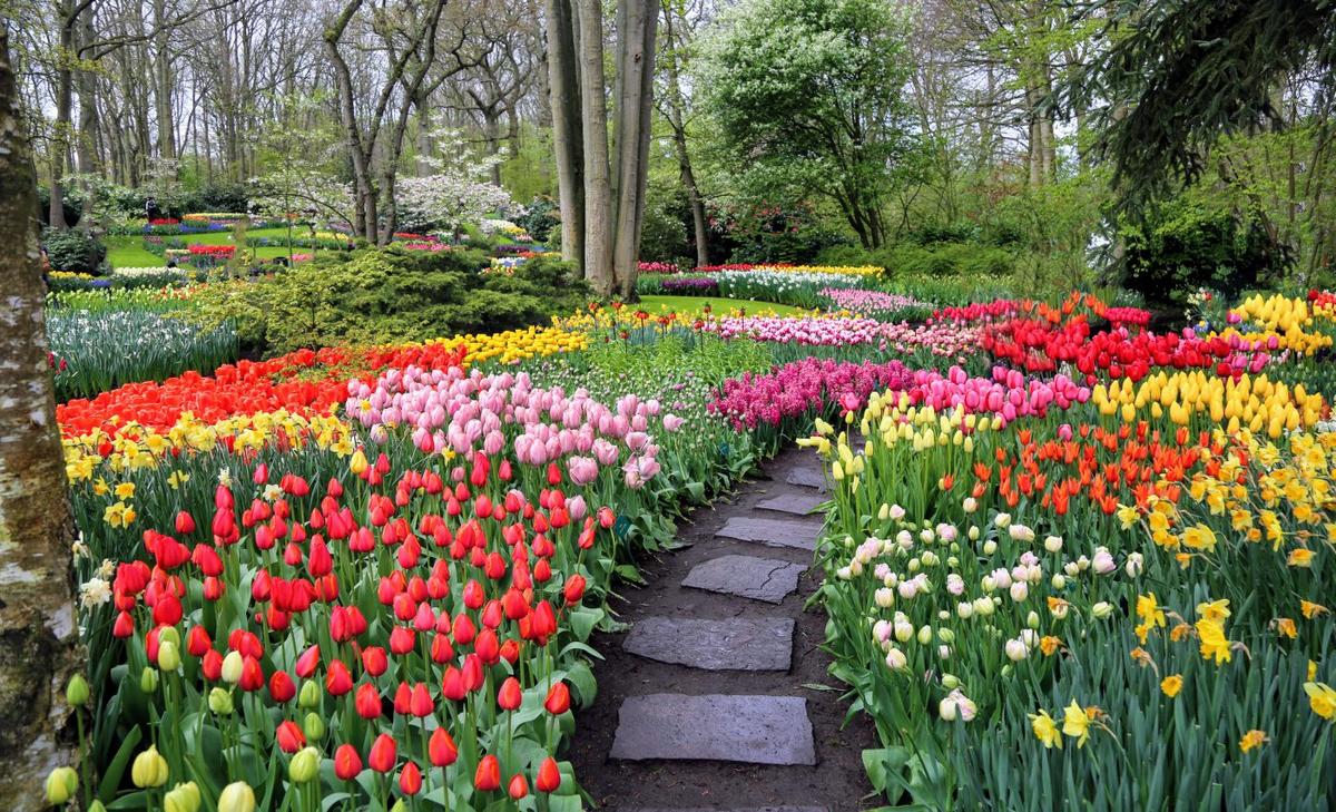 Residential gardens play a major role in supporting pollinators