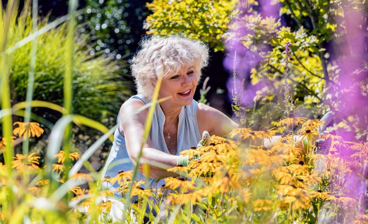 Gardening and walking help prevent mobility disability