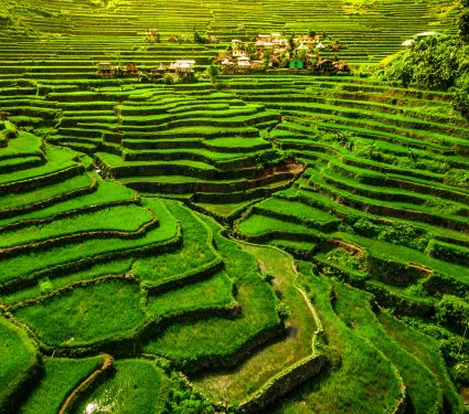 shutterstock_6340255972.jpg