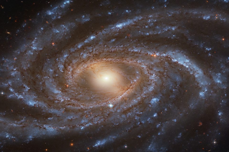 Young blue stars light up the spiral galaxy NGC 2336