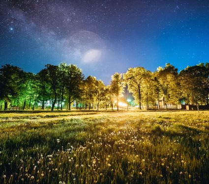 shutterstock_7705845942.jpg