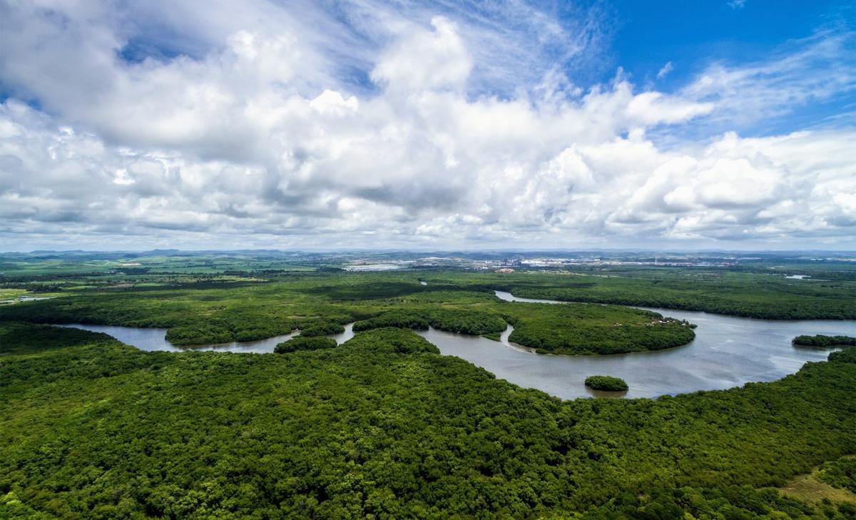 Secondary forests in the Amazon are limited by human activities