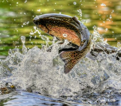 shutterstock_10354999272.jpg