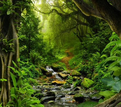 shutterstock_5221632282.jpg