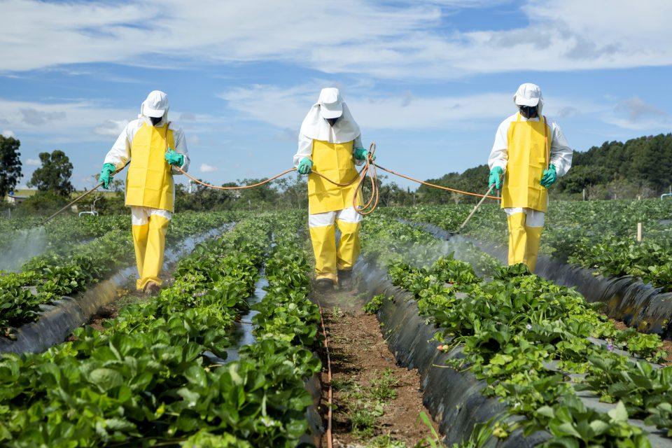 Pesticides have become increasingly toxic to insects