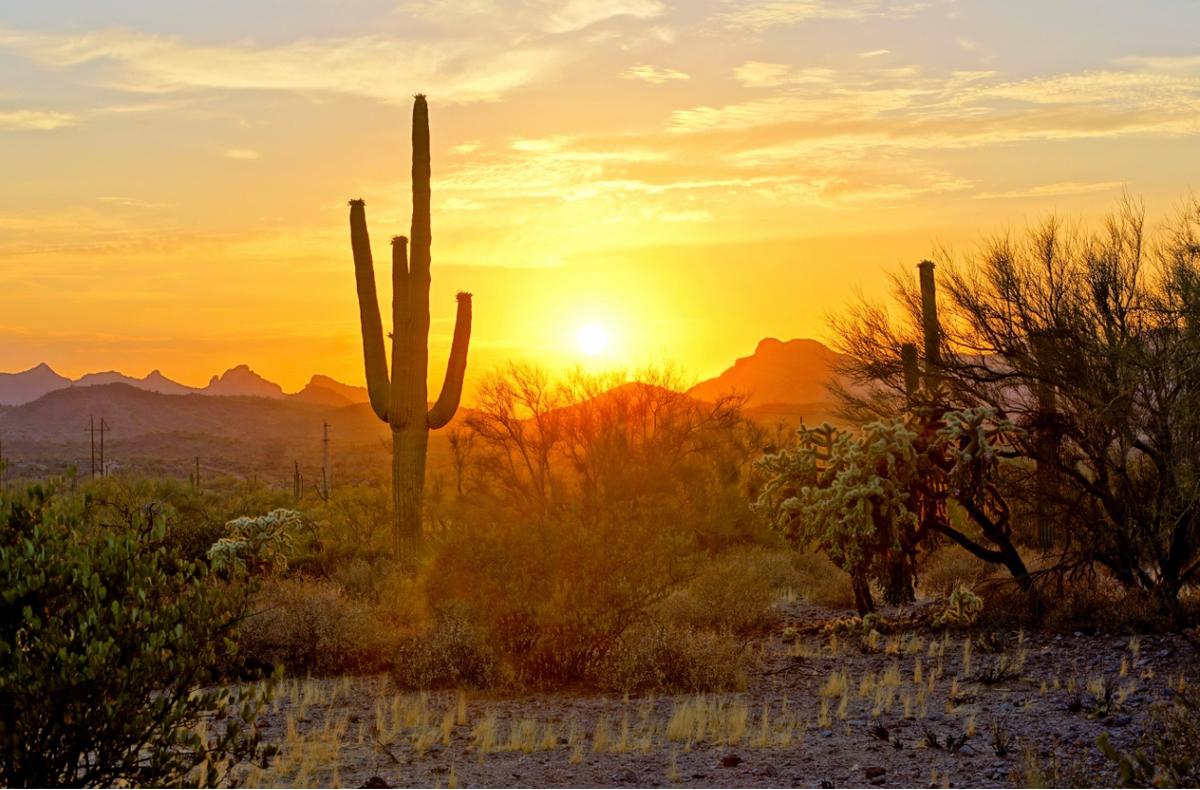 Western U.S. hit by widespread changes in precipitation