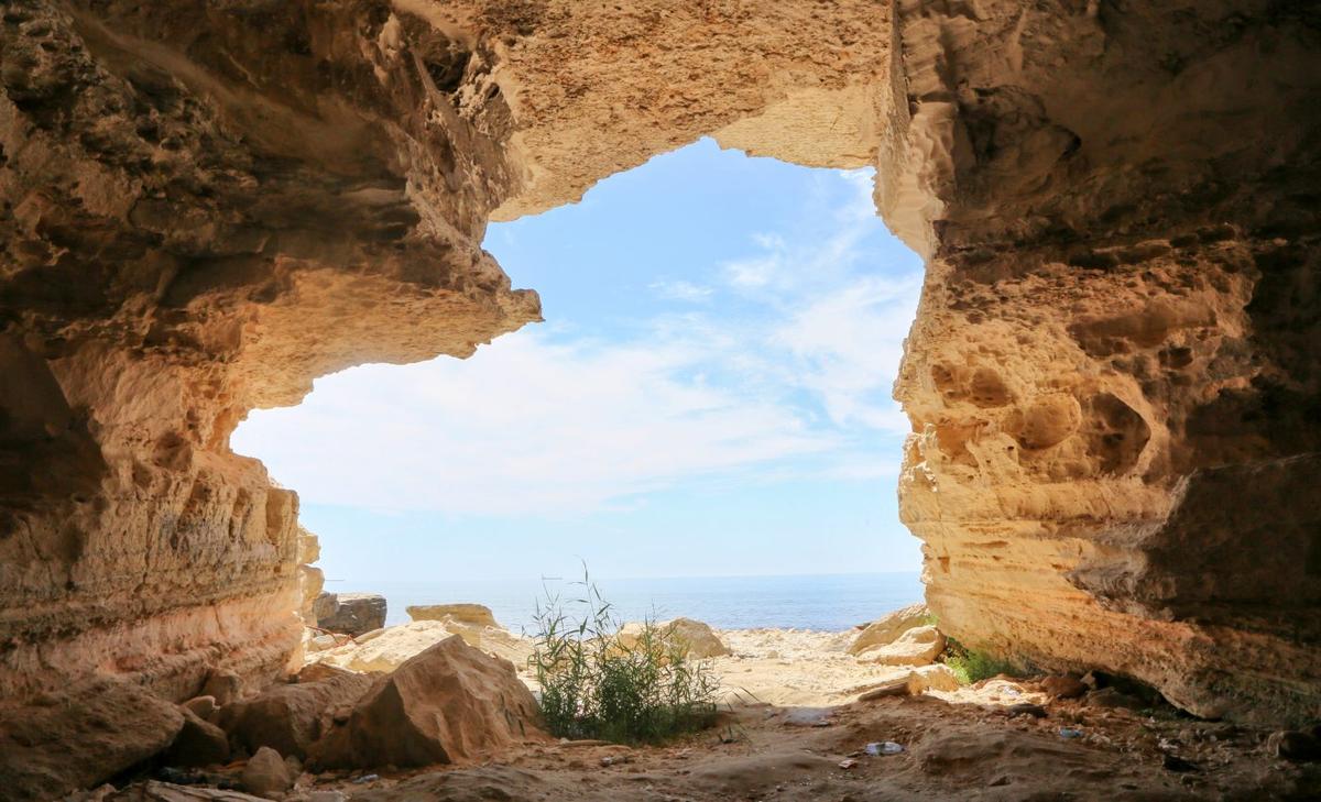 Modern human brain traced to Africa 1.7 million years ago