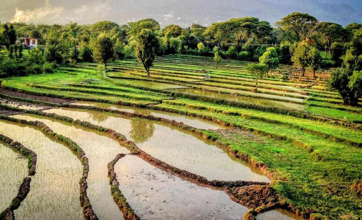 Indian monsoon rainfall will become heavier and more erratic