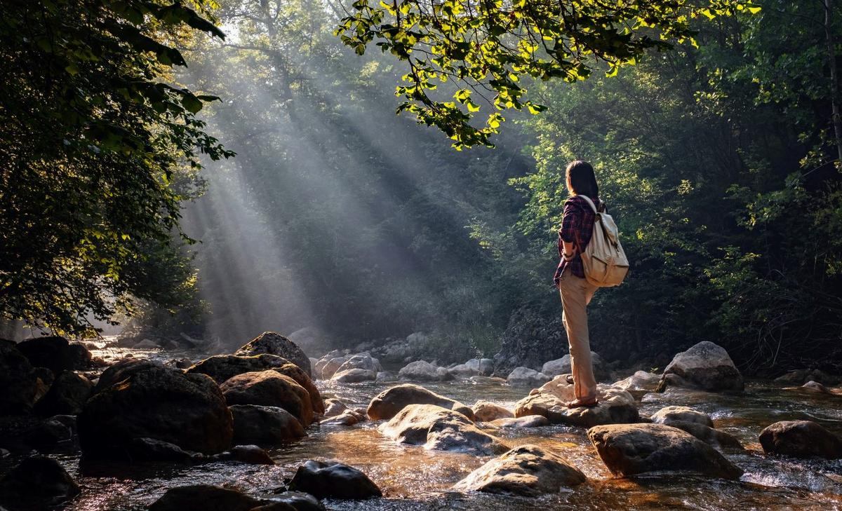 Few of Earth's wilderness areas remain ecologically intact