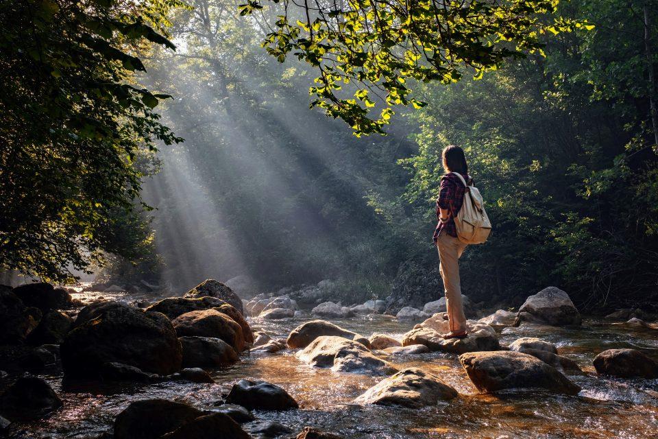 Few of Earth's wilderness areas remain ecologically intact