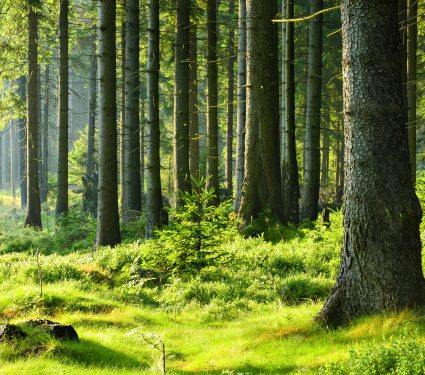 shutterstock_1715831152.jpg
