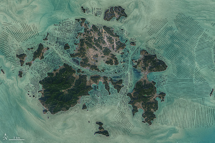 Seaweed farms in South Korea