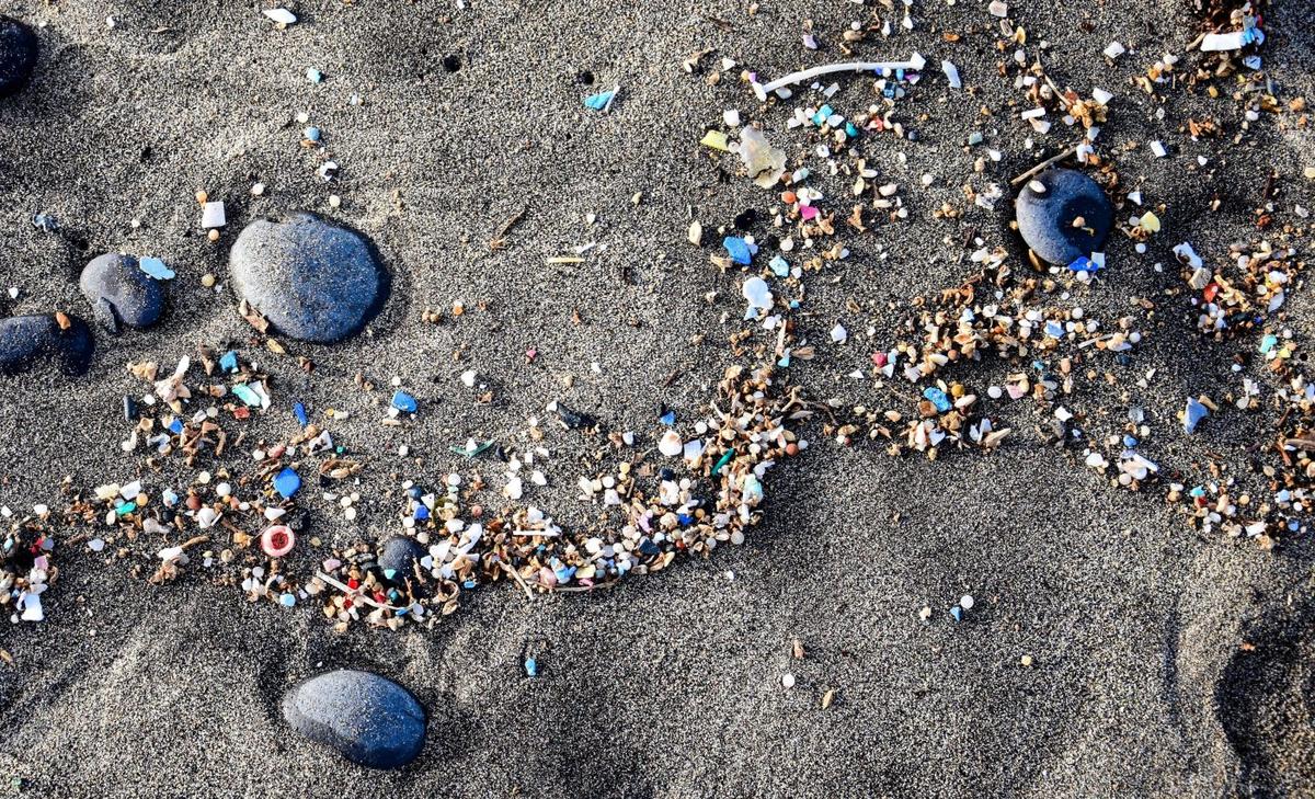 Bacteria can help remove microplastics from the environment