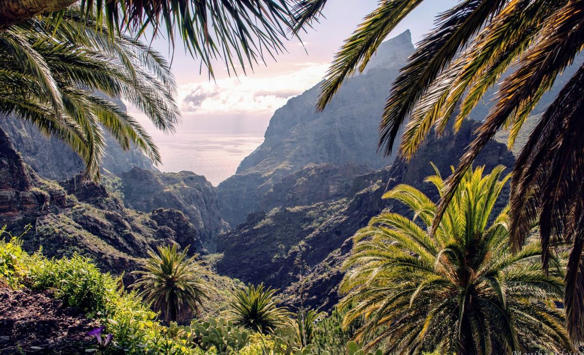 How much have humans impacted the world's plant life?
